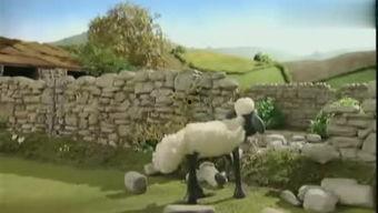 小羊爆料最新视频大全,最新视频大全精彩瞬间大盘点  第3张